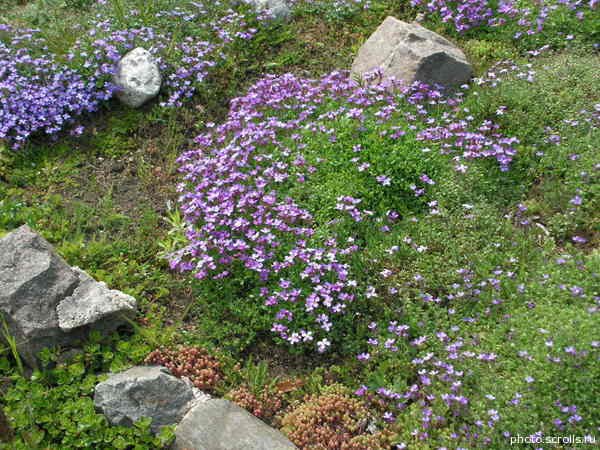 View next photo