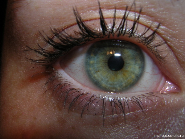 View prev photo