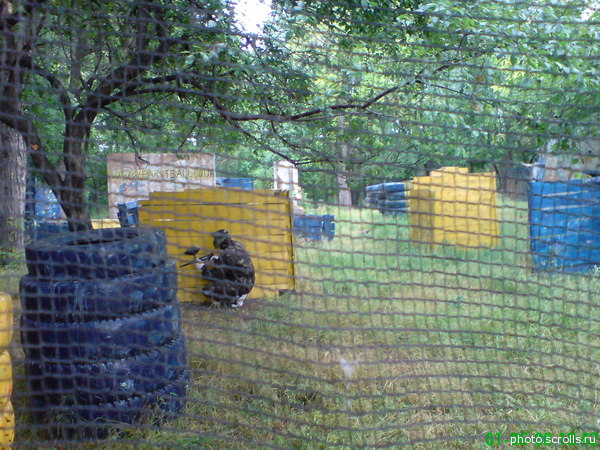 View next photo