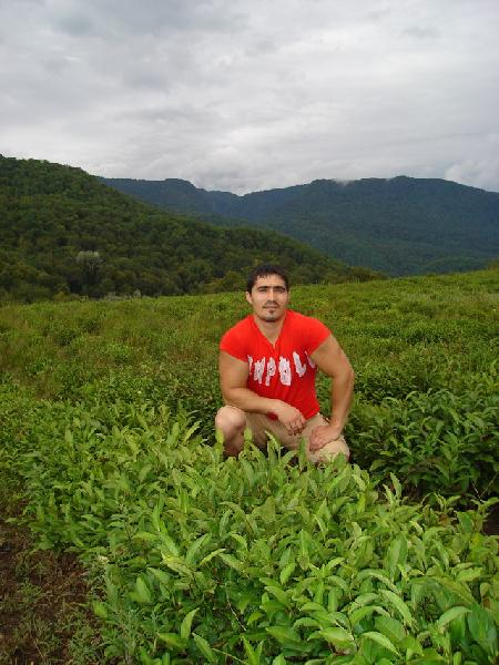View prev photo