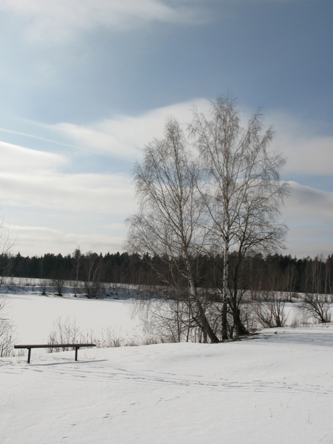 View next photo
