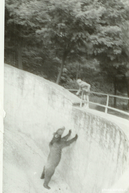 View prev photo