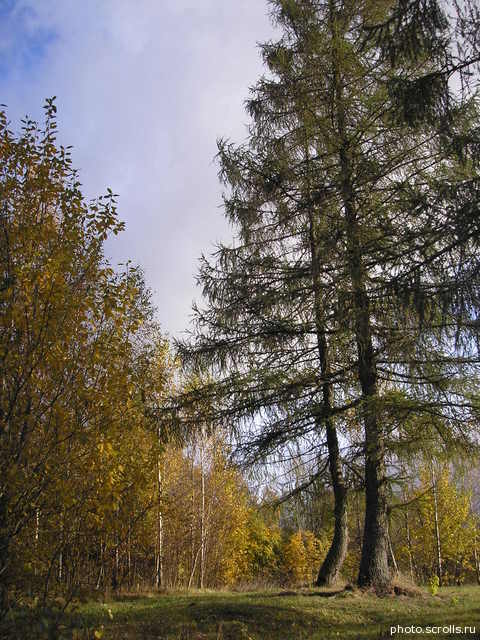 View next photo