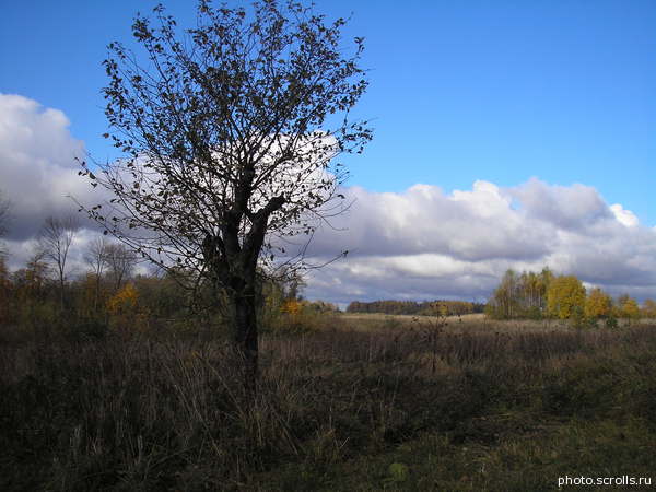 View prev photo