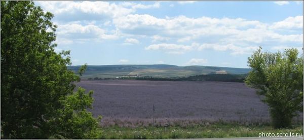 View prev photo