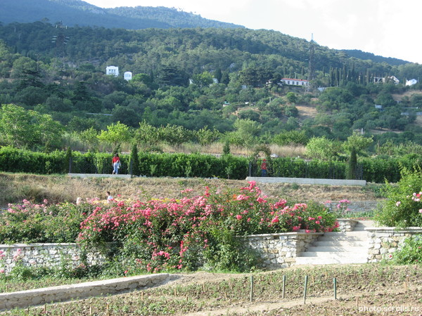 View next photo