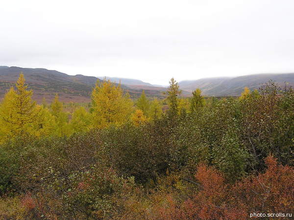 View next photo