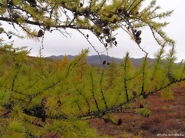 View next photo