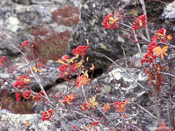 View next photo