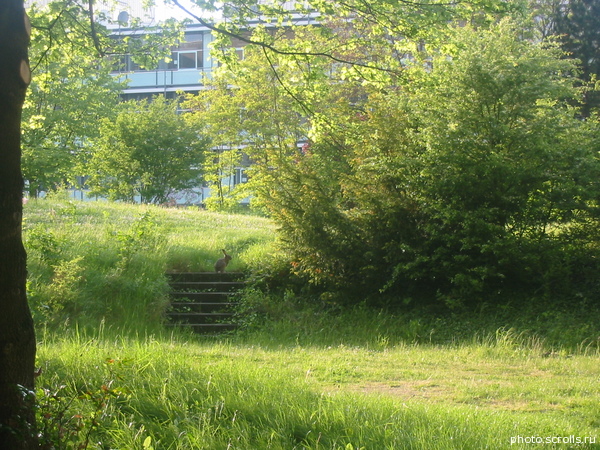 View next photo