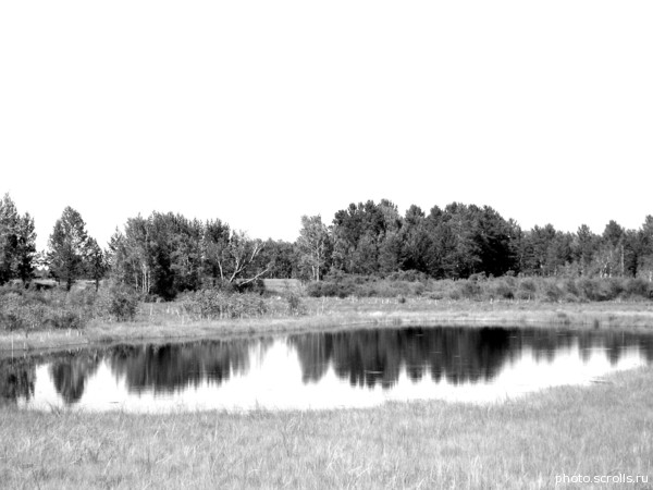 View next photo