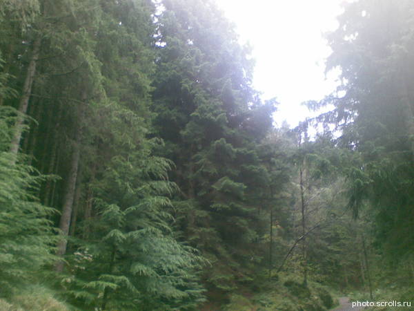 View next photo
