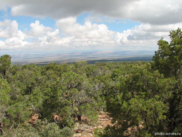 View next photo