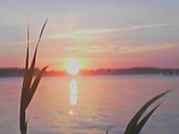 View prev photo
