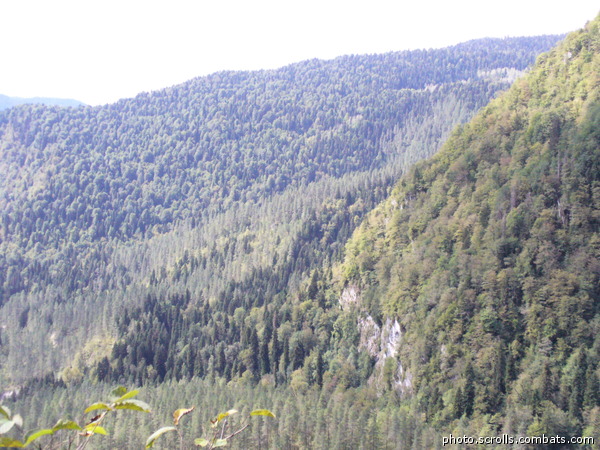 View next photo