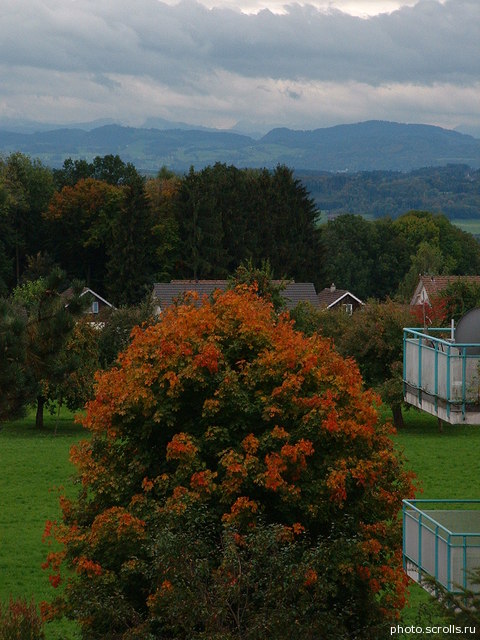 View prev photo