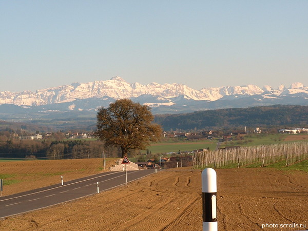 View next photo