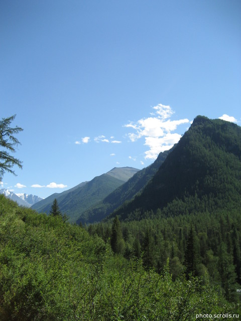 View prev photo