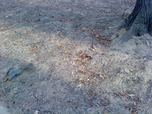 View prev photo