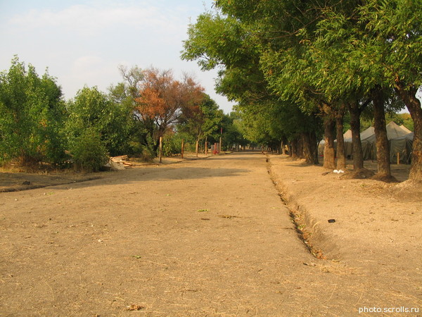 View prev photo