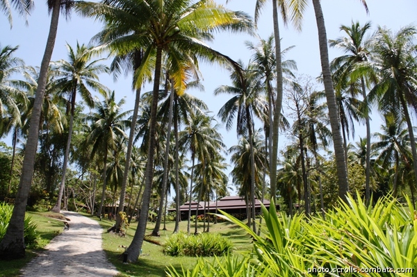 View prev photo