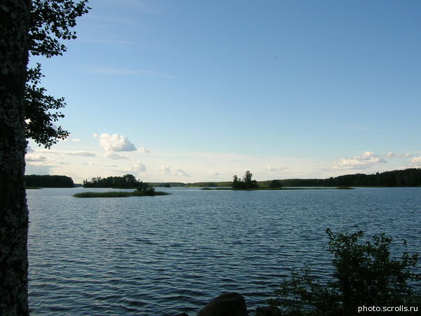 View prev photo