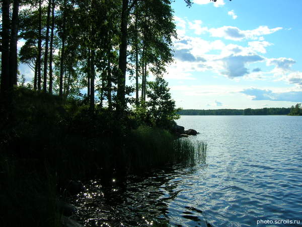 View next photo