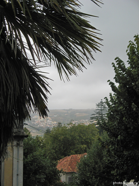 View next photo