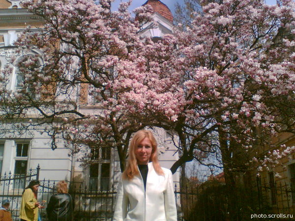 View prev photo