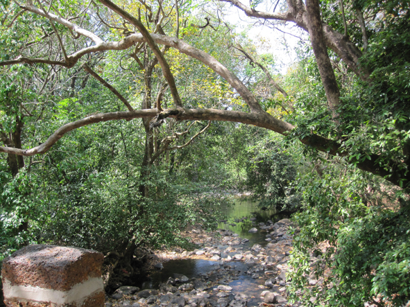 View prev photo