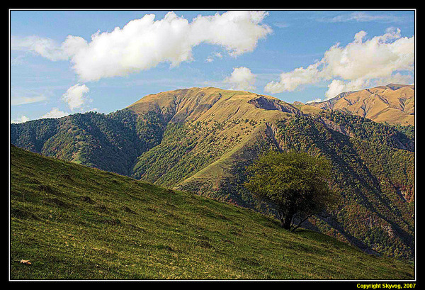 View next photo