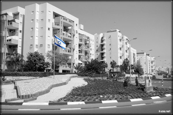 View prev photo