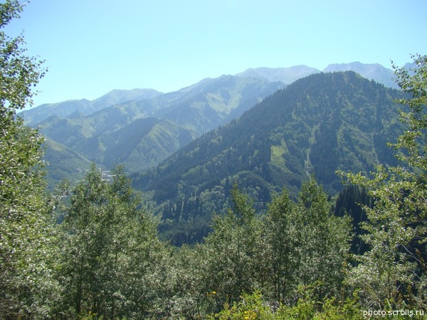 View prev photo