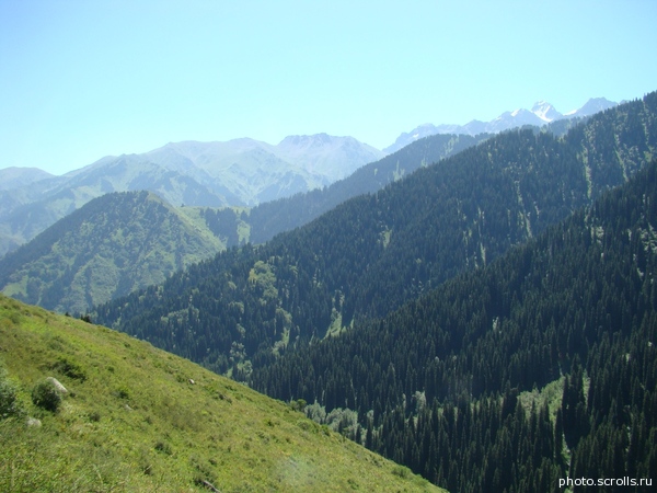 View next photo