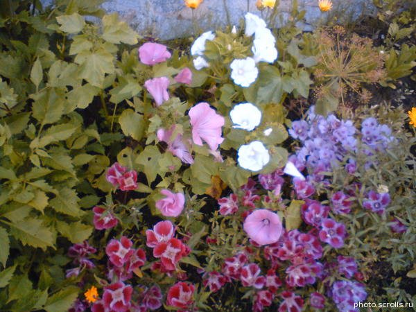 View next photo
