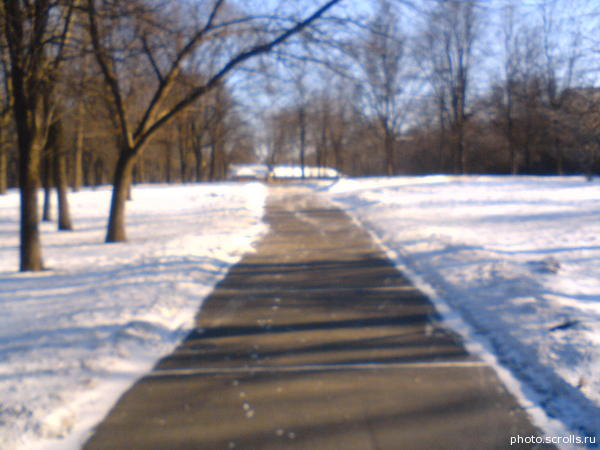 View prev photo