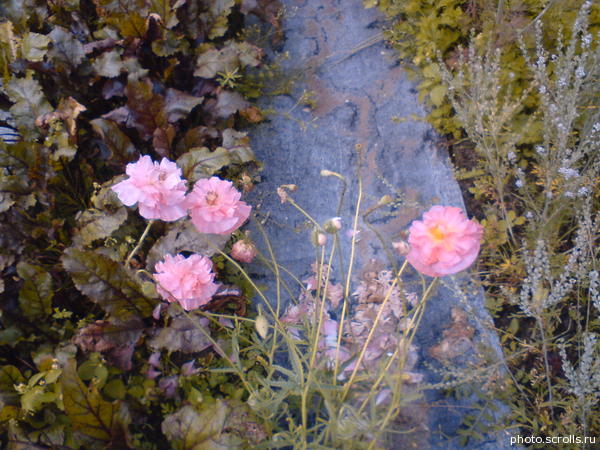 View next photo