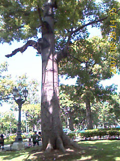 View next photo