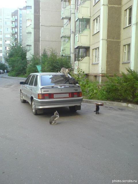 View prev photo