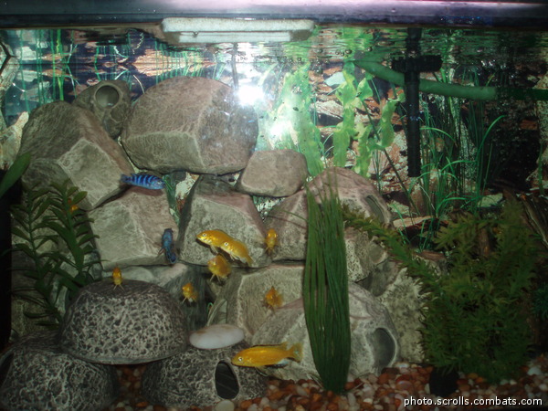 View prev photo