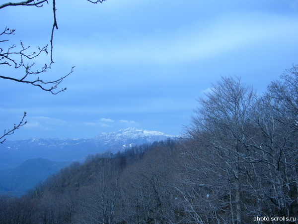 View next photo