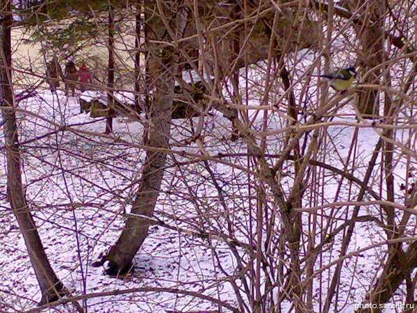 View prev photo