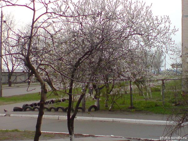 View prev photo