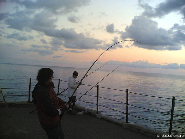 View prev photo