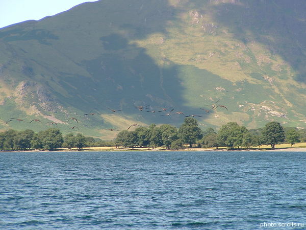 View prev photo