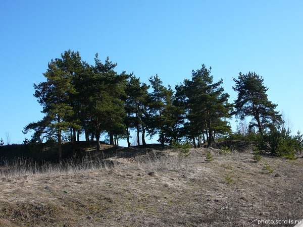 View next photo