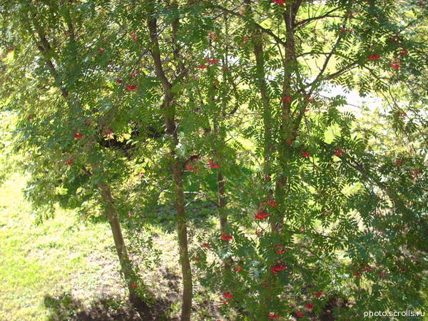 View next photo