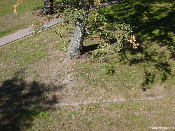 View prev photo