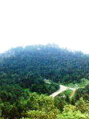 View next photo