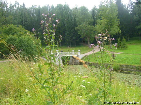 View next photo
